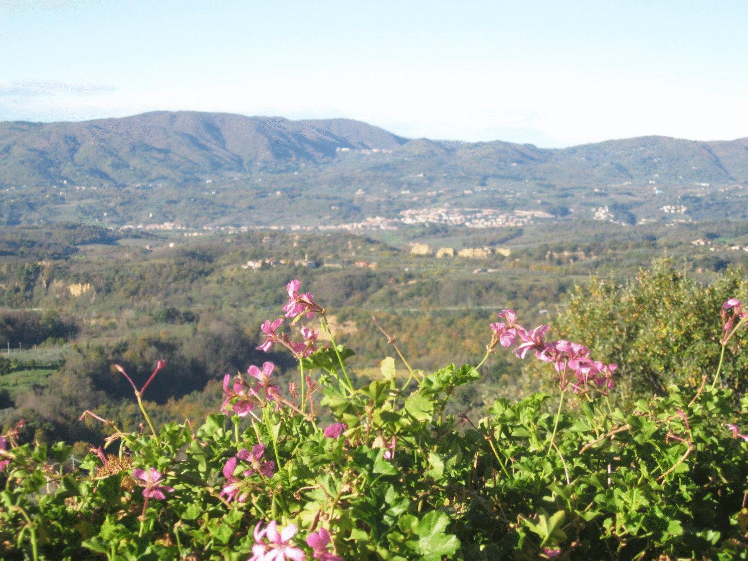 Agriturismo La Capitata Pian di Scò Exteriér fotografie