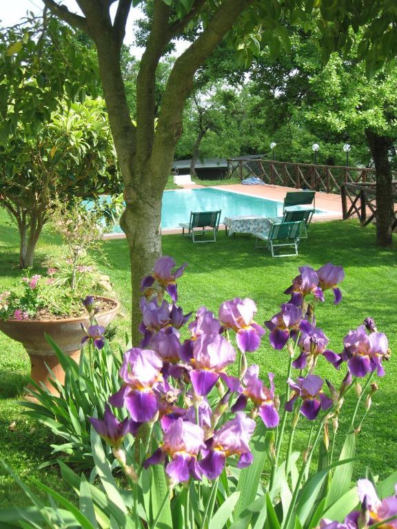 Agriturismo La Capitata Pian di Scò Exteriér fotografie